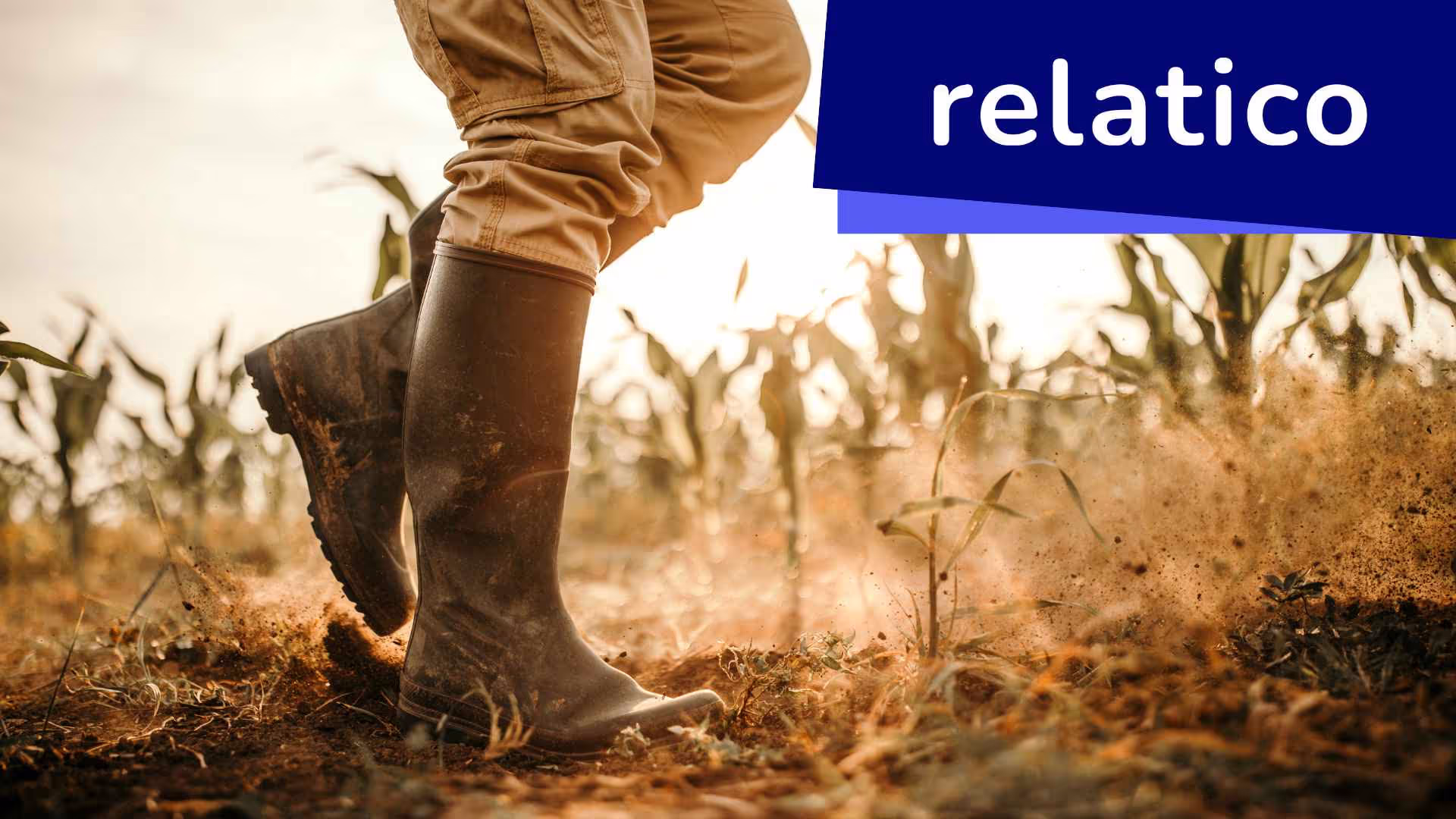 Dive into the effectiveness of smallholder projects and direct cash transfers within the realm of SRM software and sustainability. Discover how Give Directly's innovative basic income initiative in Kenya is reshaping traditional agricultural aid, promoting sustainable development, and showcasing the potential of SRM software to support economic empowerment and environmental protection.